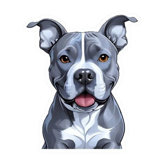 PITBULL STICKER