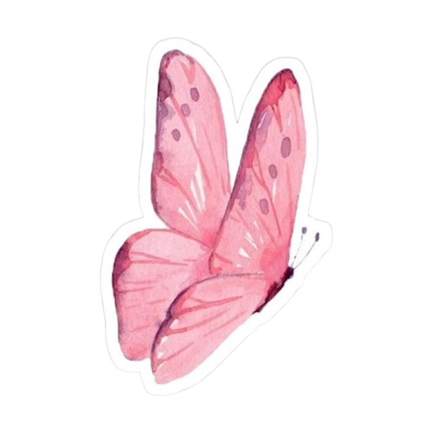 PINK BUTTERFLY STICKER