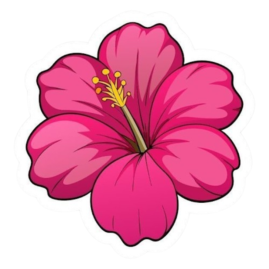 HIBISCUS STICKER